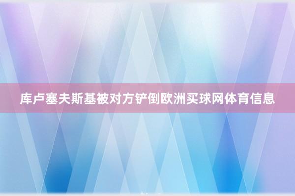 库卢塞夫斯基被对方铲倒欧洲买球网体育信息