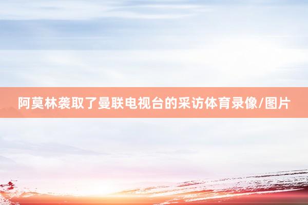 阿莫林袭取了曼联电视台的采访体育录像/图片