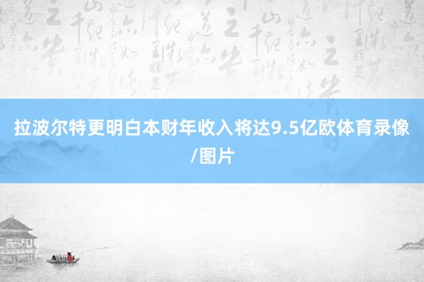 拉波尔特更明白本财年收入将达9.5亿欧体育录像/图片