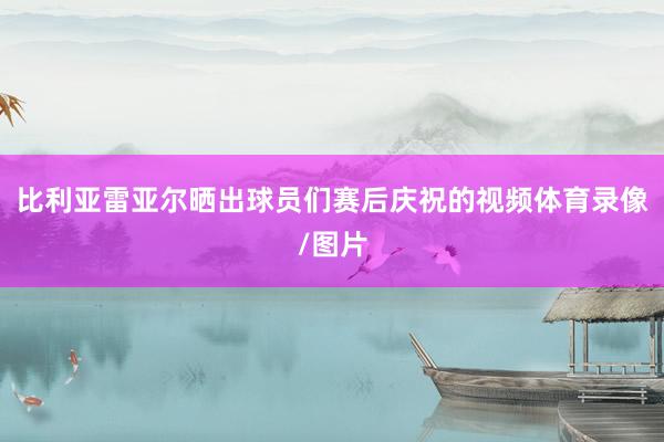 比利亚雷亚尔晒出球员们赛后庆祝的视频体育录像/图片