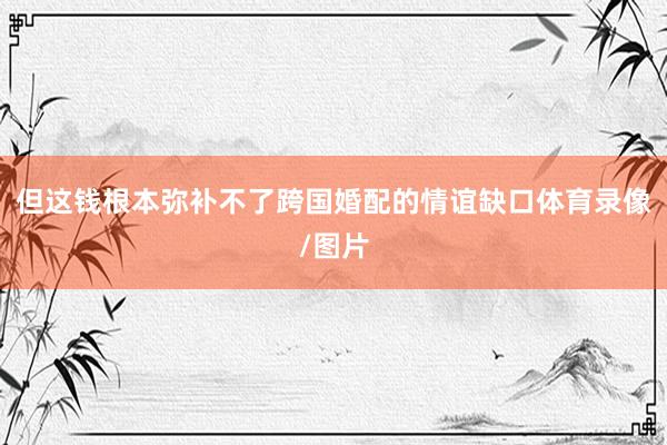 但这钱根本弥补不了跨国婚配的情谊缺口体育录像/图片