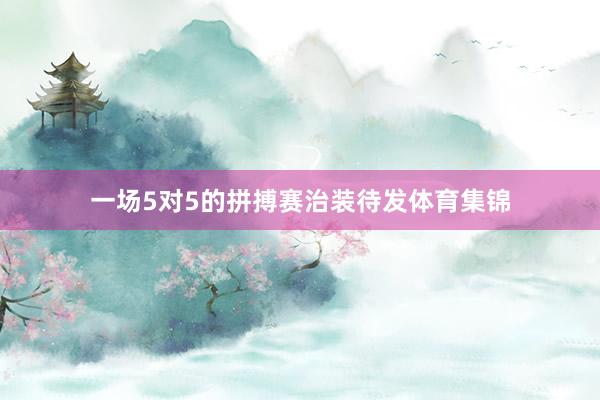 一场5对5的拼搏赛治装待发体育集锦
