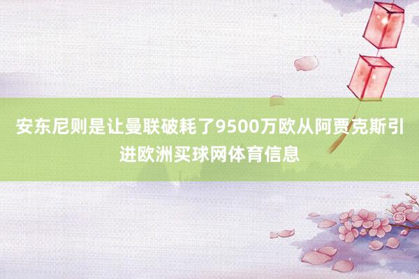 安东尼则是让曼联破耗了9500万欧从阿贾克斯引进欧洲买球网体育信息