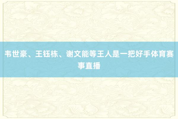 韦世豪、王钰栋、谢文能等王人是一把好手体育赛事直播
