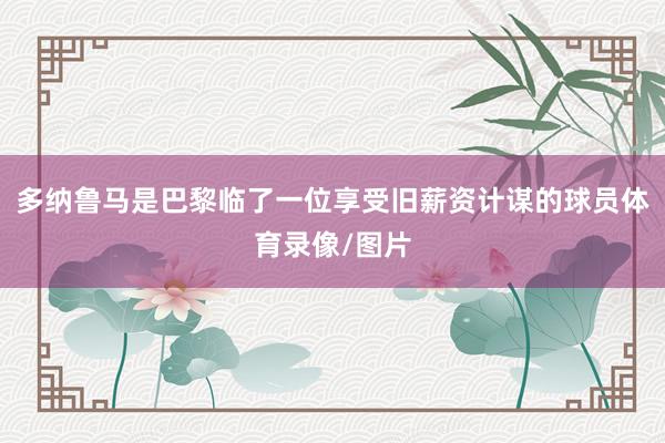 多纳鲁马是巴黎临了一位享受旧薪资计谋的球员体育录像/图片