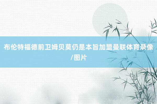 布伦特福德前卫姆贝莫仍是本旨加盟曼联体育录像/图片