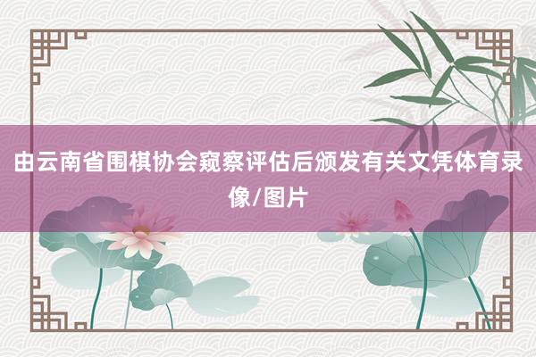 由云南省围棋协会窥察评估后颁发有关文凭体育录像/图片