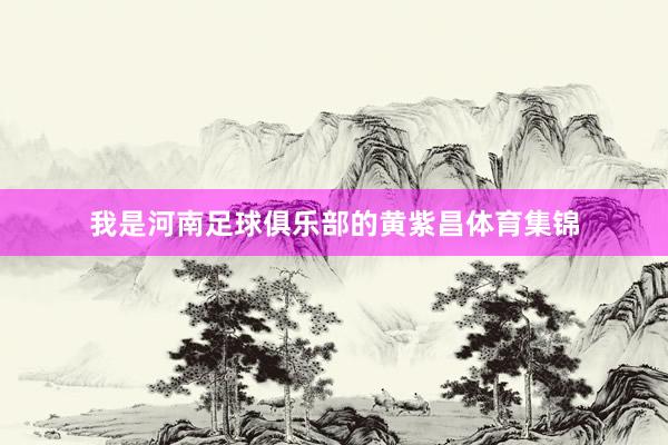 我是河南足球俱乐部的黄紫昌体育集锦
