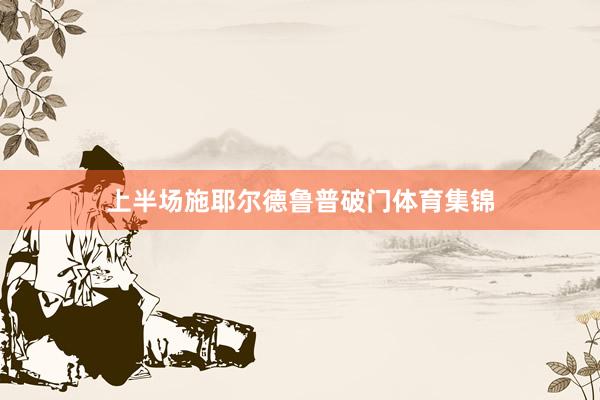上半场施耶尔德鲁普破门体育集锦