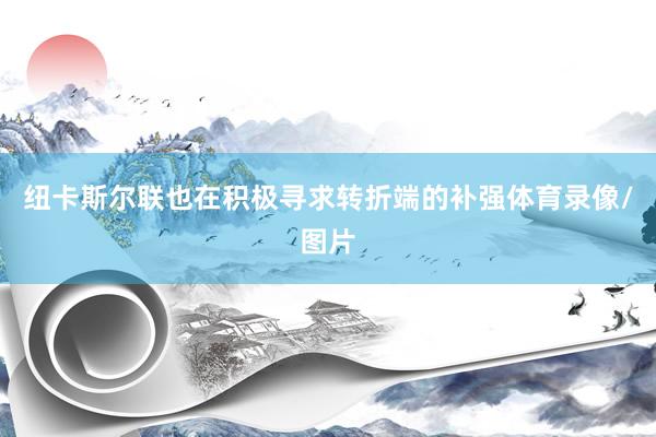 纽卡斯尔联也在积极寻求转折端的补强体育录像/图片