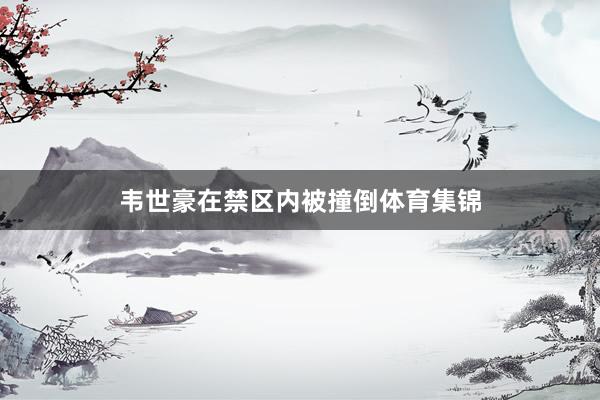 韦世豪在禁区内被撞倒体育集锦