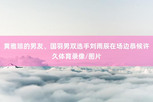 黄雅琼的男友、国羽男双选手刘雨辰在场边恭候许久体育录像/图片