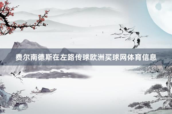 费尔南德斯在左路传球欧洲买球网体育信息