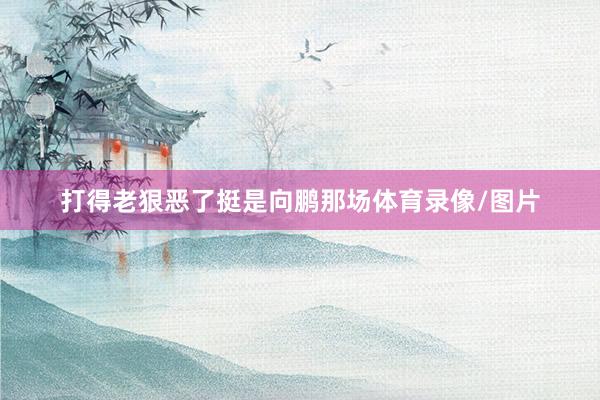 打得老狠恶了挺是向鹏那场体育录像/图片