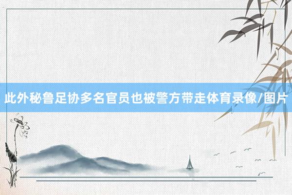 此外秘鲁足协多名官员也被警方带走体育录像/图片