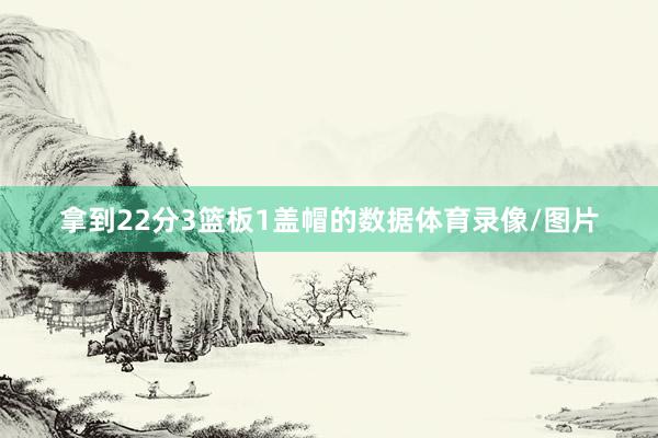拿到22分3篮板1盖帽的数据体育录像/图片