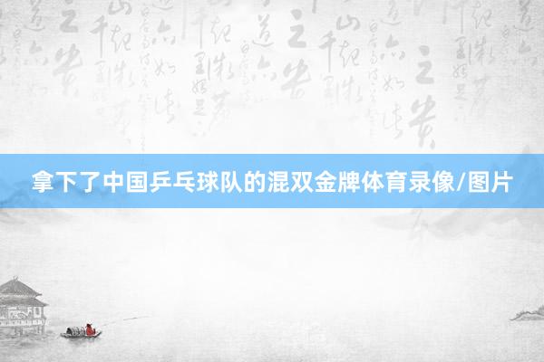拿下了中国乒乓球队的混双金牌体育录像/图片