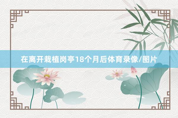 在离开栽植岗亭18个月后体育录像/图片