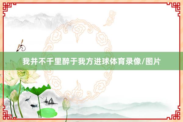 我并不千里醉于我方进球体育录像/图片