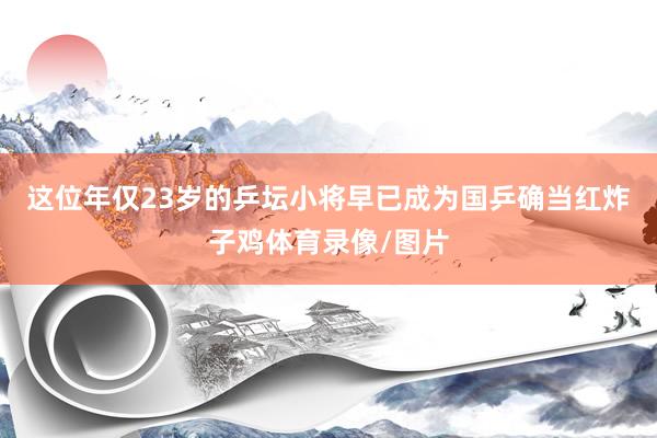 这位年仅23岁的乒坛小将早已成为国乒确当红炸子鸡体育录像/图片