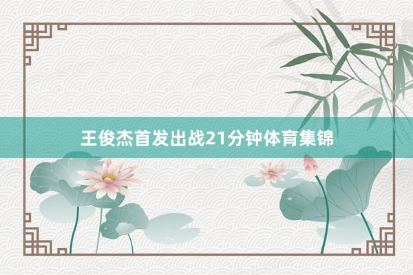 王俊杰首发出战21分钟体育集锦