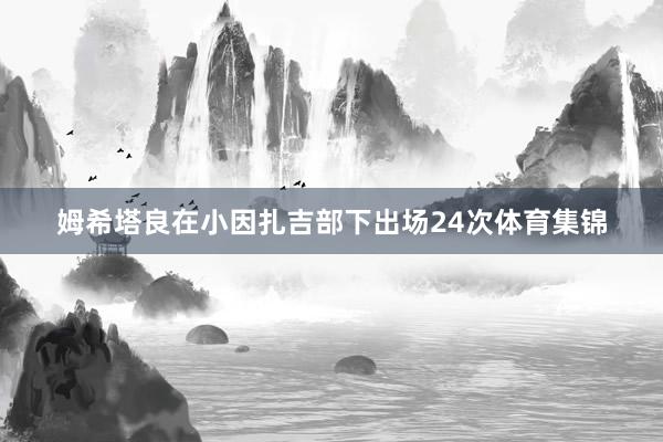 姆希塔良在小因扎吉部下出场24次体育集锦