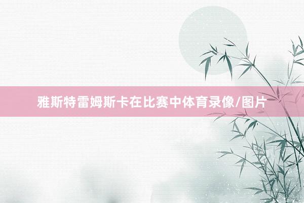 雅斯特雷姆斯卡在比赛中体育录像/图片