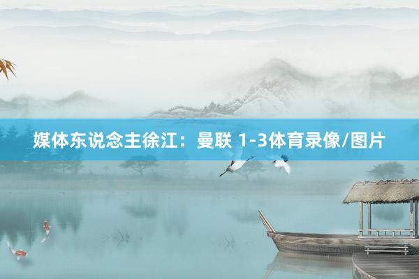 媒体东说念主徐江：曼联 1-3体育录像/图片
