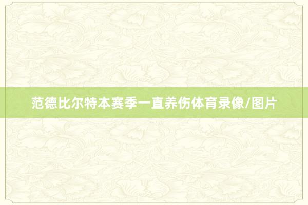 范德比尔特本赛季一直养伤体育录像/图片