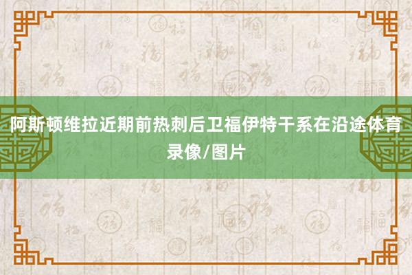 阿斯顿维拉近期前热刺后卫福伊特干系在沿途体育录像/图片