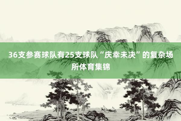 36支参赛球队有25支球队“庆幸未决”的复杂场所体育集锦