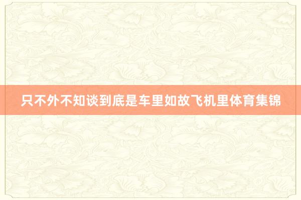 只不外不知谈到底是车里如故飞机里体育集锦