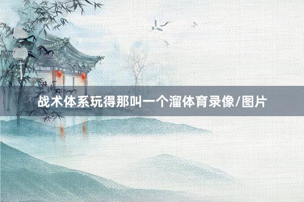 战术体系玩得那叫一个溜体育录像/图片