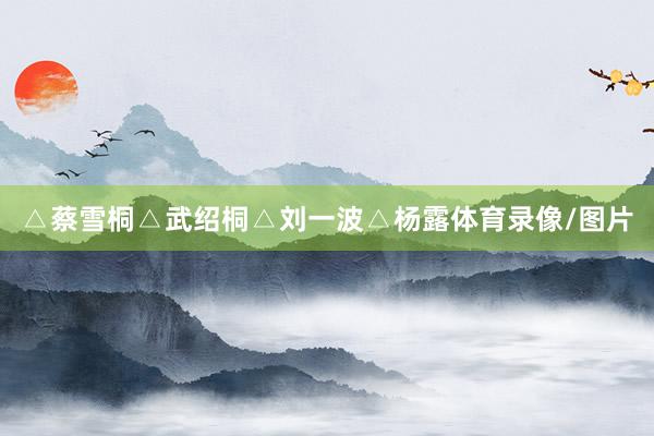 △蔡雪桐△武绍桐△刘一波△杨露体育录像/图片